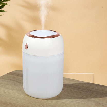 Beautiful portable mini humidifier