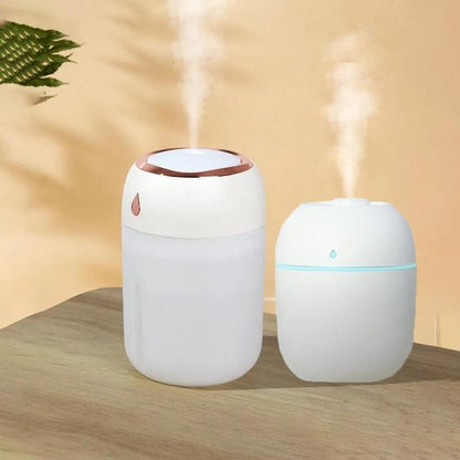 Beautiful portable mini humidifier