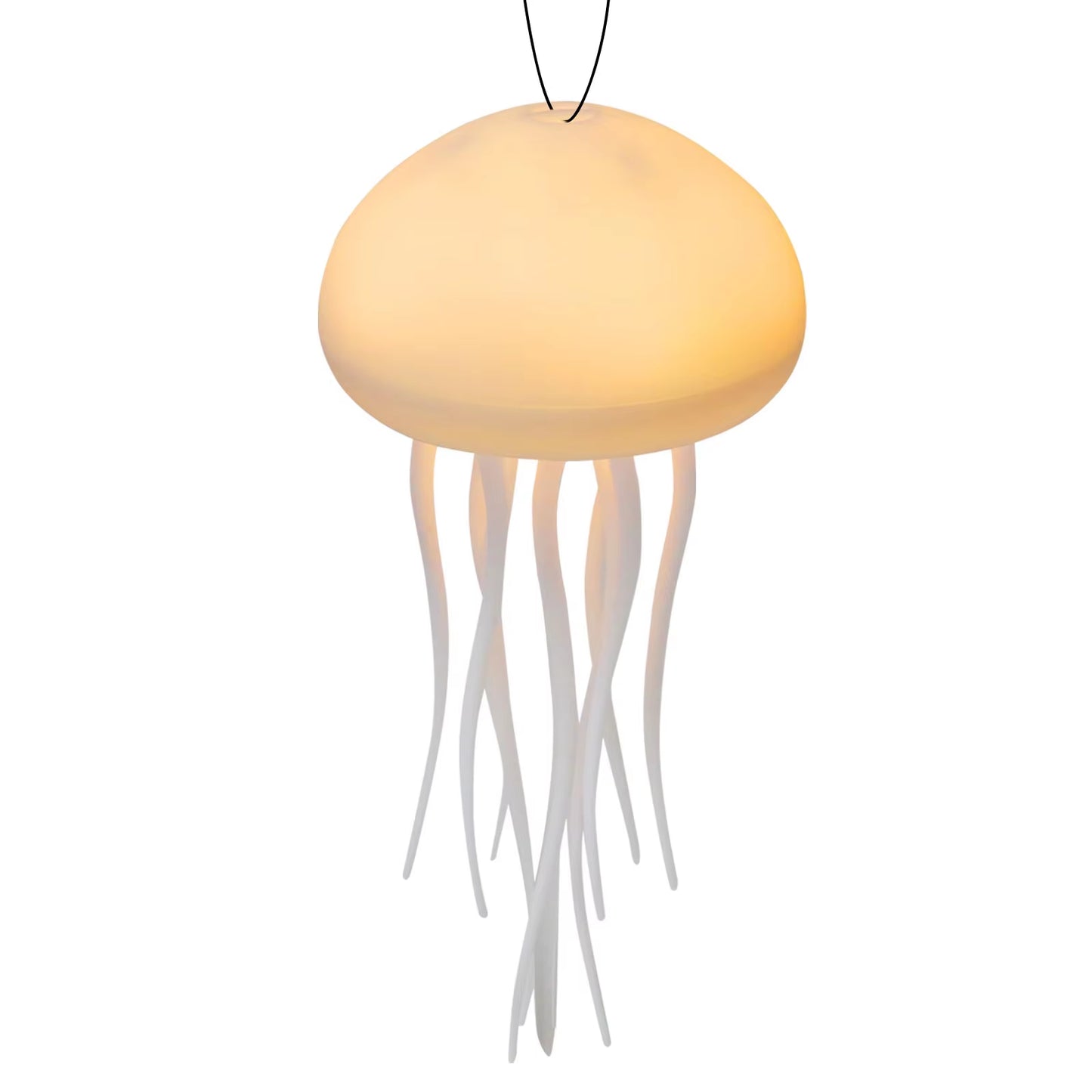 Jellyfish atmosphere light with warm and multicolor light